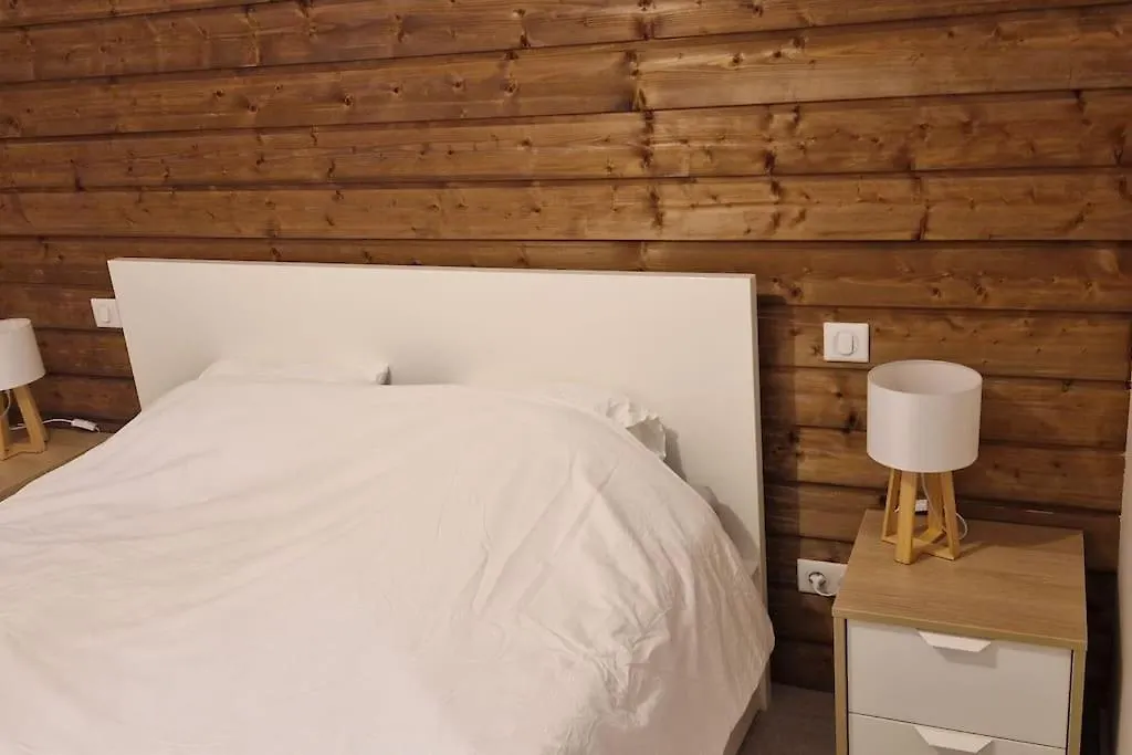 Appartement Montagne 50M2 2 Chambres Et Un Canape Lit Les Gets Apartment